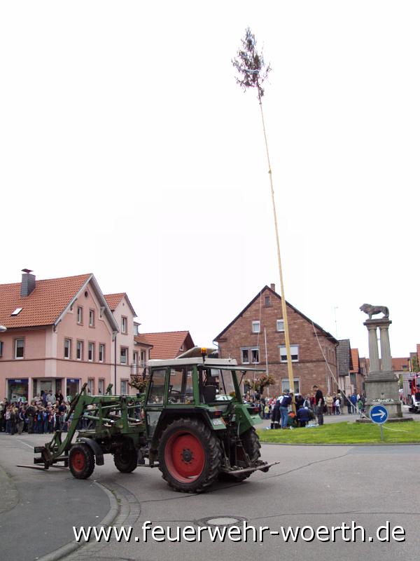 maibaum_2009_ 019.jpg